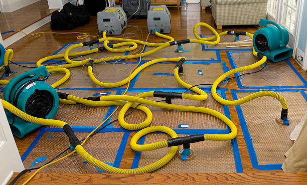 Professional Structural Drying And Dehumidification technician working in Martinsville, VA
