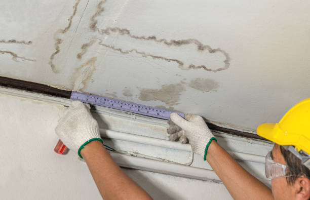 Affordable Structural Drying And Dehumidification solutions in Martinsville, VA